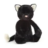 Bashful Black Kitten
