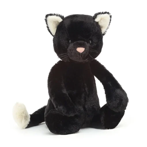 Bashful Black Kitten
