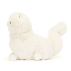 Carissa Persian Cat