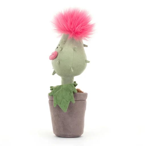 Carniflore Priscilla