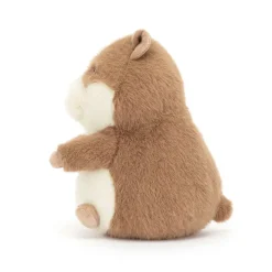 Gordy Guinea Pig