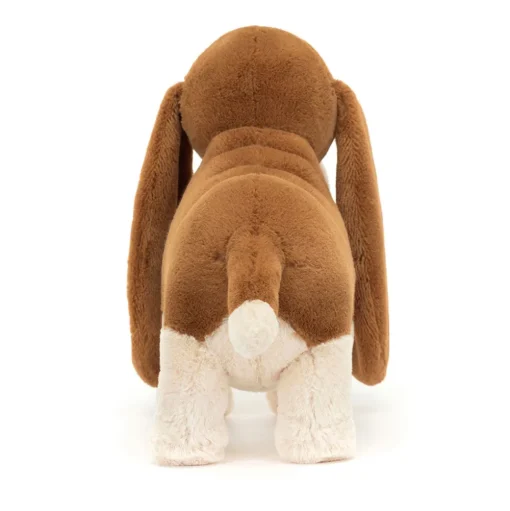 Randall Basset Hound