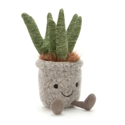 Silly Succulent Aloe