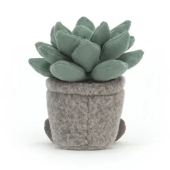 Silly Succulent Azulita