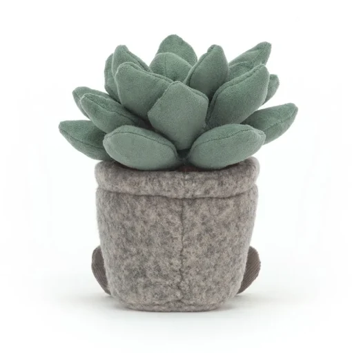 Silly Succulent Azulita