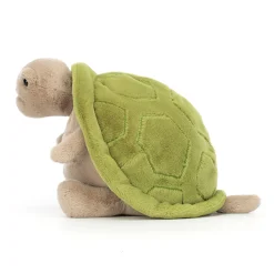 Timmy Turtle