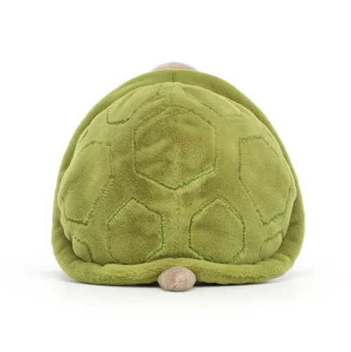 Timmy Turtle