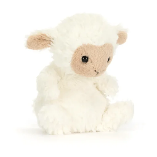 Yummy Lamb